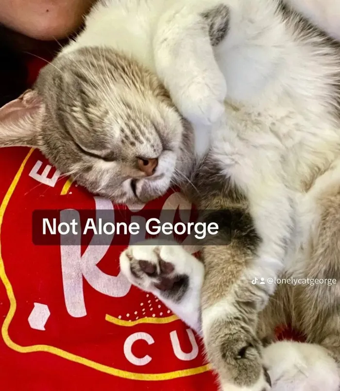 Not alone George